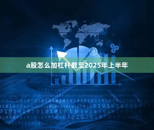 a股怎么加杠杆截至2025年上半年