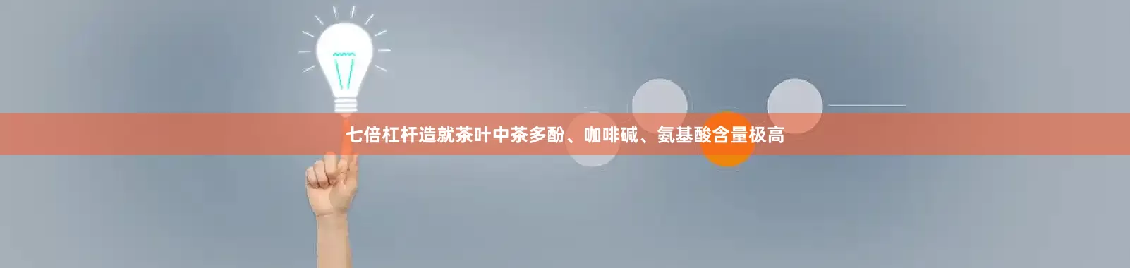 七倍杠杆造就茶叶中茶多酚、咖啡碱、氨基酸含量极高